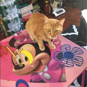 Meet your Posher, Graceann